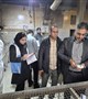 بازرسی مشترک از مراکز تهیه و توزیع مواد غذایی