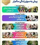 هفته ملی جوان ۱۱ لغایت ۱۷ بهمن ماه ١٤٠٤ با شعار ( ایران جوان پیش به سوی زندگی سالم تر )