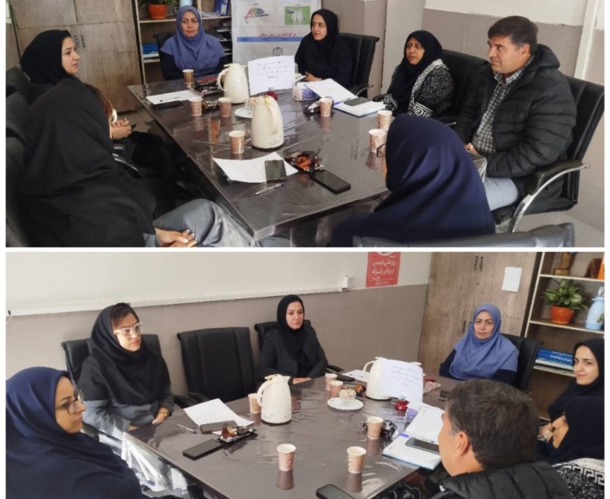 کمیته برون بخشی هماهنگی توزیع مکمل های آهن و دی